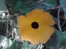 P130712_07.57_[04]