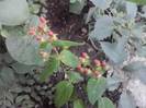 P130712_07.59_[02]