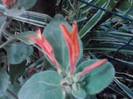 P130712_08.07_[05]