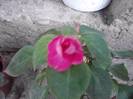 P130712_08.10_[01]