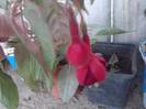 P130712_08.12_[01]