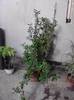 P130712_08.12_[04]
