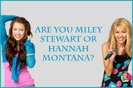 whichhmmiley