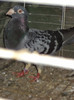 DSC00099