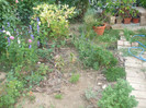 flori 2012 893