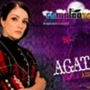 Camaleones_1256747897_1_2009