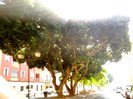 130720122853