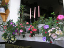 P7130603