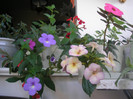 P7130610