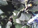 13-07-12_0754