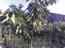 13-07-12_0759