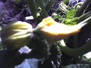 13-07-12_0956