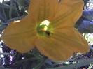 13-07-12_0957