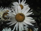 13-07-12_1100