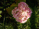 060
