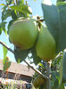 DSCN1653