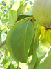DSCN1654