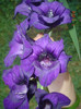 DSC05035