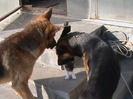 DSC00035