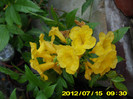 2012-07-08 008