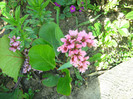 Picture 076