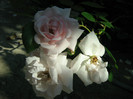 Picture 106