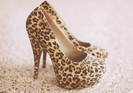 animal-print-cute-girl-photography-shoes-Favim.com-455465