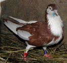 9r.f(2011)
