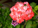 DSCN0920