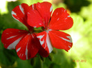 Happy of New Life