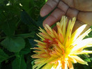 2012-07-14 10.53.24