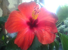 2012-07-15 18.17.36