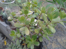 2012-07-15 19.22.05