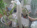 2012-07-15 19.22.18