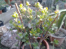 2012-07-15 19.22.41