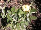 Fotografii-0024