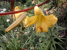 Fotografii-0069