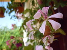 P1000990