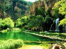 peisaj-de-vis-ca-n-paradis_8a1aa8a6ae9c09