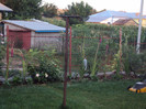 DSC00960