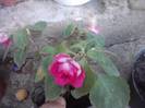 P160712_13.44_[01]