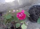 P160712_13.44_[02]