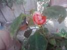 P160712_13.47_[01]