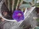 P160712_13.47_[02]