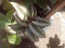 P160712_13.48_[01]