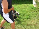 IMG_0227