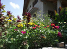 DSCF7956