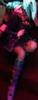 Anna Lesko _55_