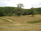 DSCN2031