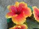 P14-07-12_12.52[3]